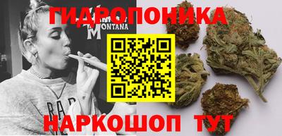 PSILOCYBIN Нягань